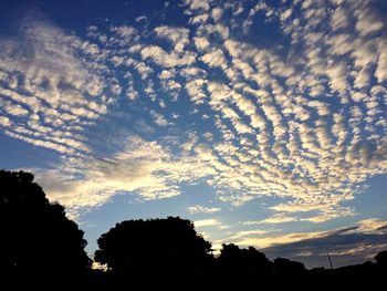 Low angle view of silhouette trees against sky at sunset