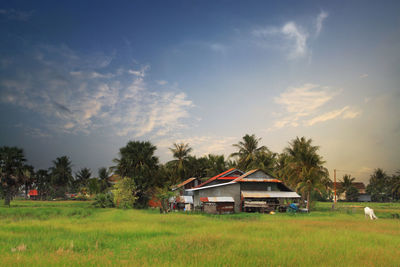 Countryside landscape with a typical asian building in kampot province in southern cambodia, asia.