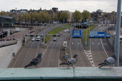 View of birds perching on cable car