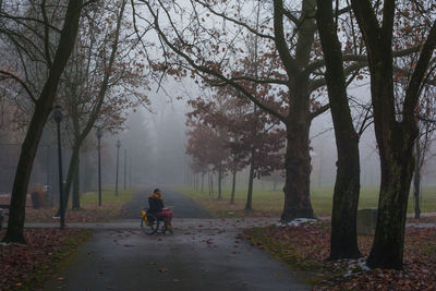 Woman sitting on wheelchair in park during foggy weather