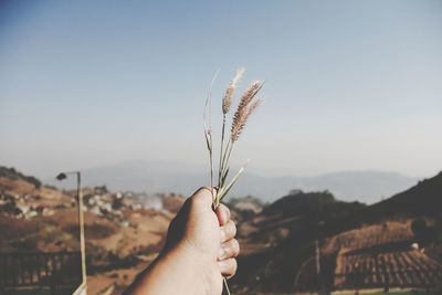 Close-up of hand holding plant against sky