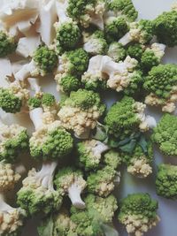 Close-up of vegetables