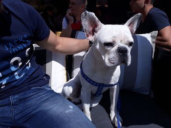 Midsection of man sitting with dog