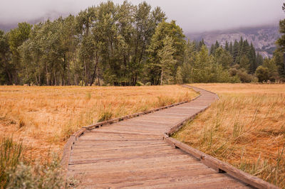 Road amidst field against trees in forest