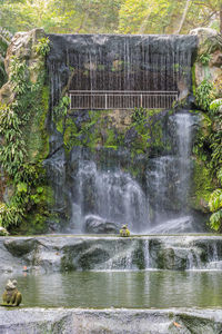 Scenic view of waterfall in forest