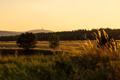 Scenic view of field against sky during sunset