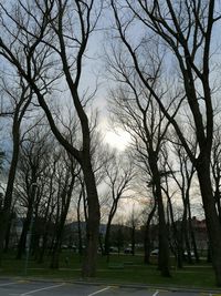 Bare trees in park against sky