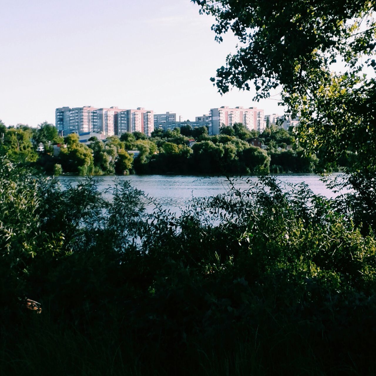 water, tree, clear sky, growth, plant, lake, river, tranquility, built structure, nature, tranquil scene, building exterior, architecture, beauty in nature, copy space, reflection, scenics, sky, green color, day