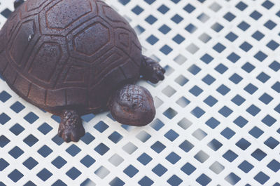 Close-up of metallic turtle figurine on white table
