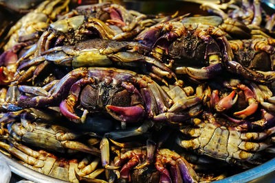 Close-up of crab for sale in market