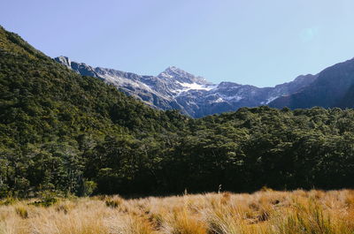 Scenic view of trees and mountains against sky