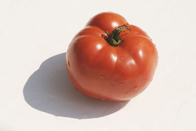 Close-up of bell pepper on white background