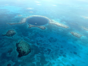 Aerial view of turtle swimming in sea