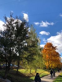 People walking in park during autumn