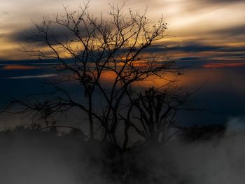 Silhouette bare tree against sky during sunset