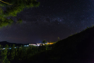 Scenic view of trees against sky at night