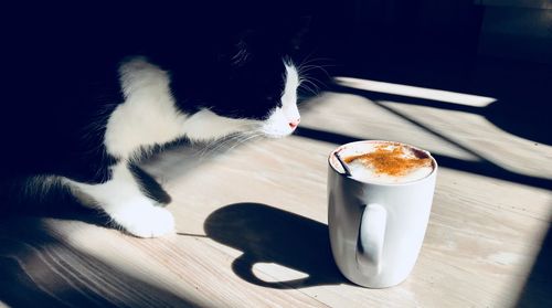 Cat drinking coffee cup