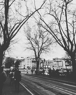 People walking on road along bare trees