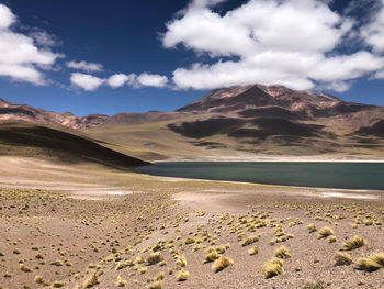 Scenic view of desert against sky