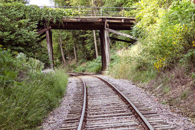 Railroad passing below bridge amidst forest trees