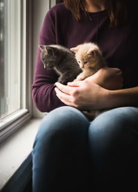 Woman holding two adorable kittens in her arms next to a window.