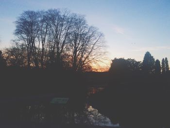 Silhouette of trees at sunset