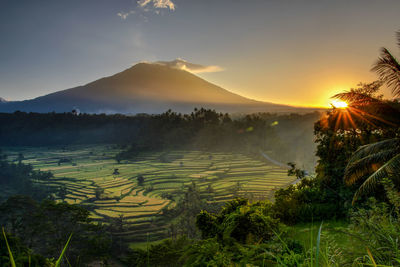 Scenic view of field against sky during sunset