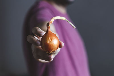 Close-up of hand holding fruit