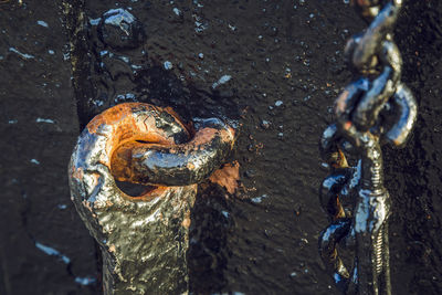 Close-up of rusty metal