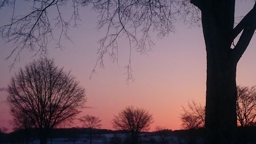 Low angle view of silhouette trees against sky during sunset