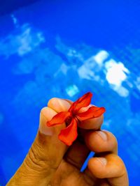 Close-up of hand holding red flower against blue sky