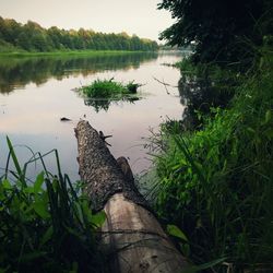Scenic view of lake by trees against sky