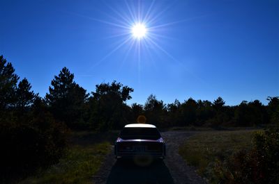 Rear view of car on sunny day