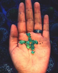 High angle view of person holding hand