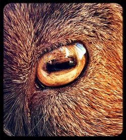 Full frame shot of textured surface