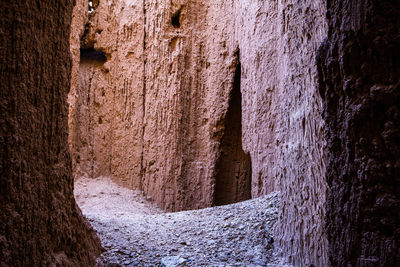 Full frame shot of tree trunk