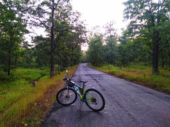 Bicycle on road amidst trees against sky