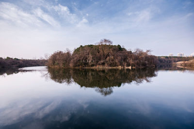 Reflection of trees in calm lake