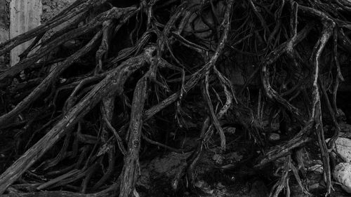 Full frame shot of fishing net