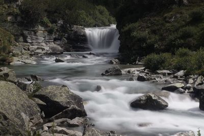 Scenic view of waterfall in forest