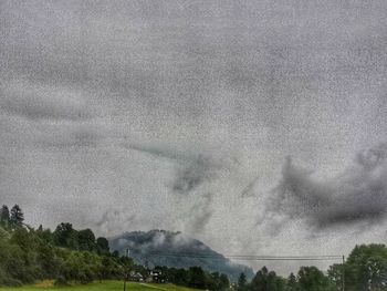 Scenic view of trees on land against sky