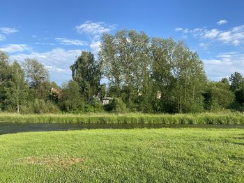 Trees on field against sky