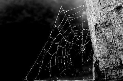 Low angle view of spider web against sky