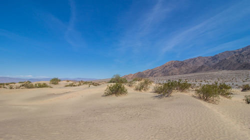 Scenic view of desert against blue sky