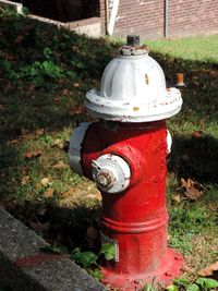 Close-up of fire hydrant