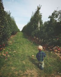 Rear view of boy standing on field