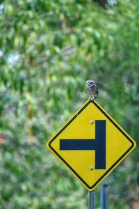 Close-up of a road sign