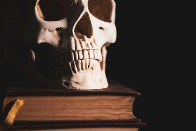 Close-up of human skull against black background