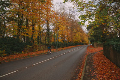 Person cycling on road during autumn