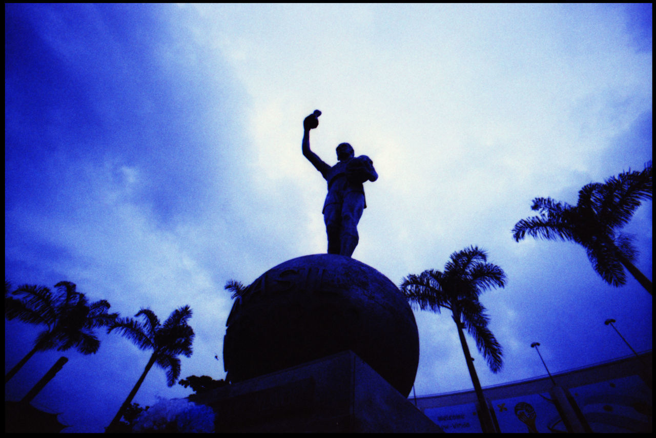 LOW ANGLE VIEW OF STATUE AGAINST SKY AT DUSK